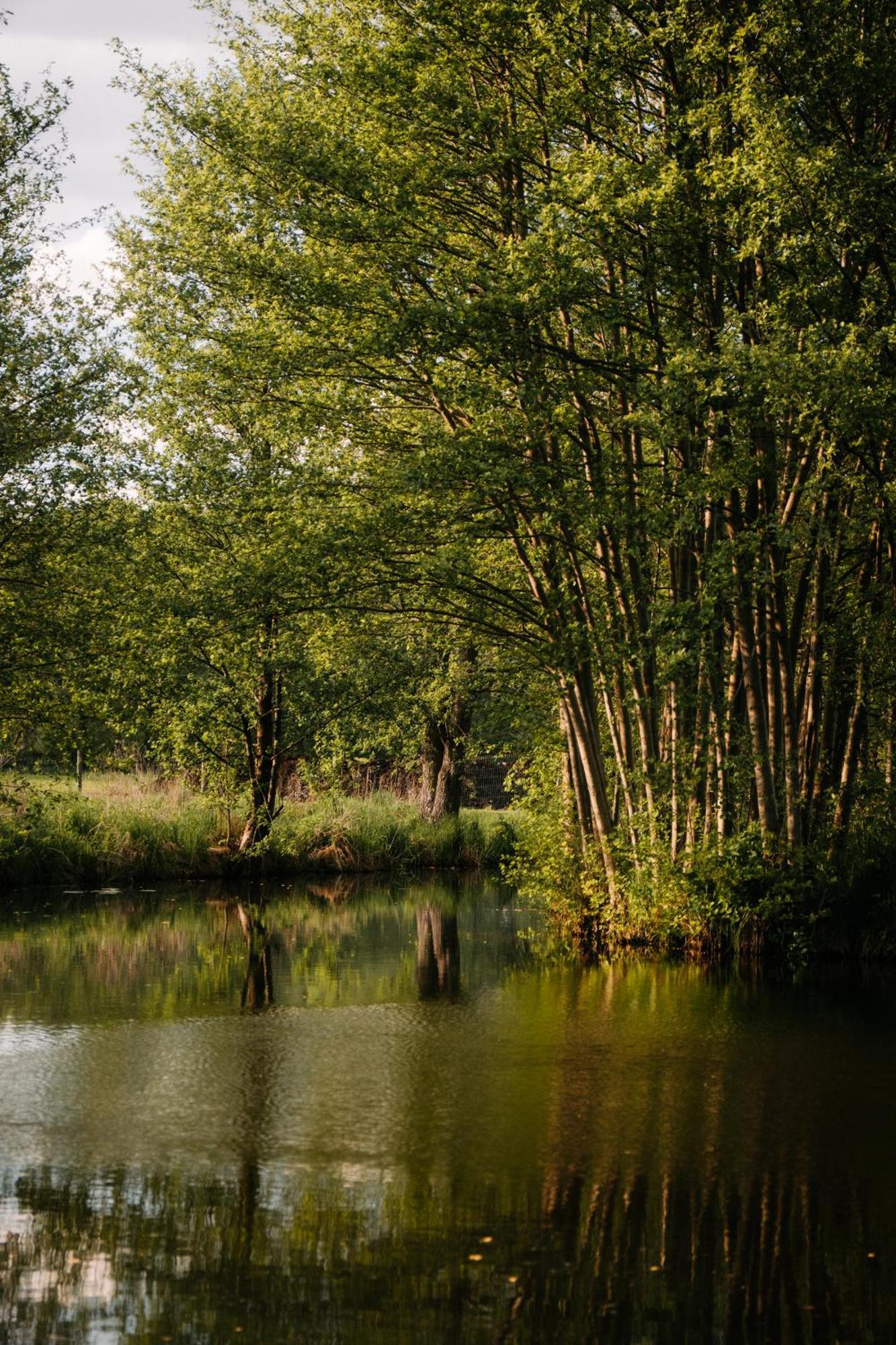 Palac Srodka Chrzypsko Wielkie Exterior foto