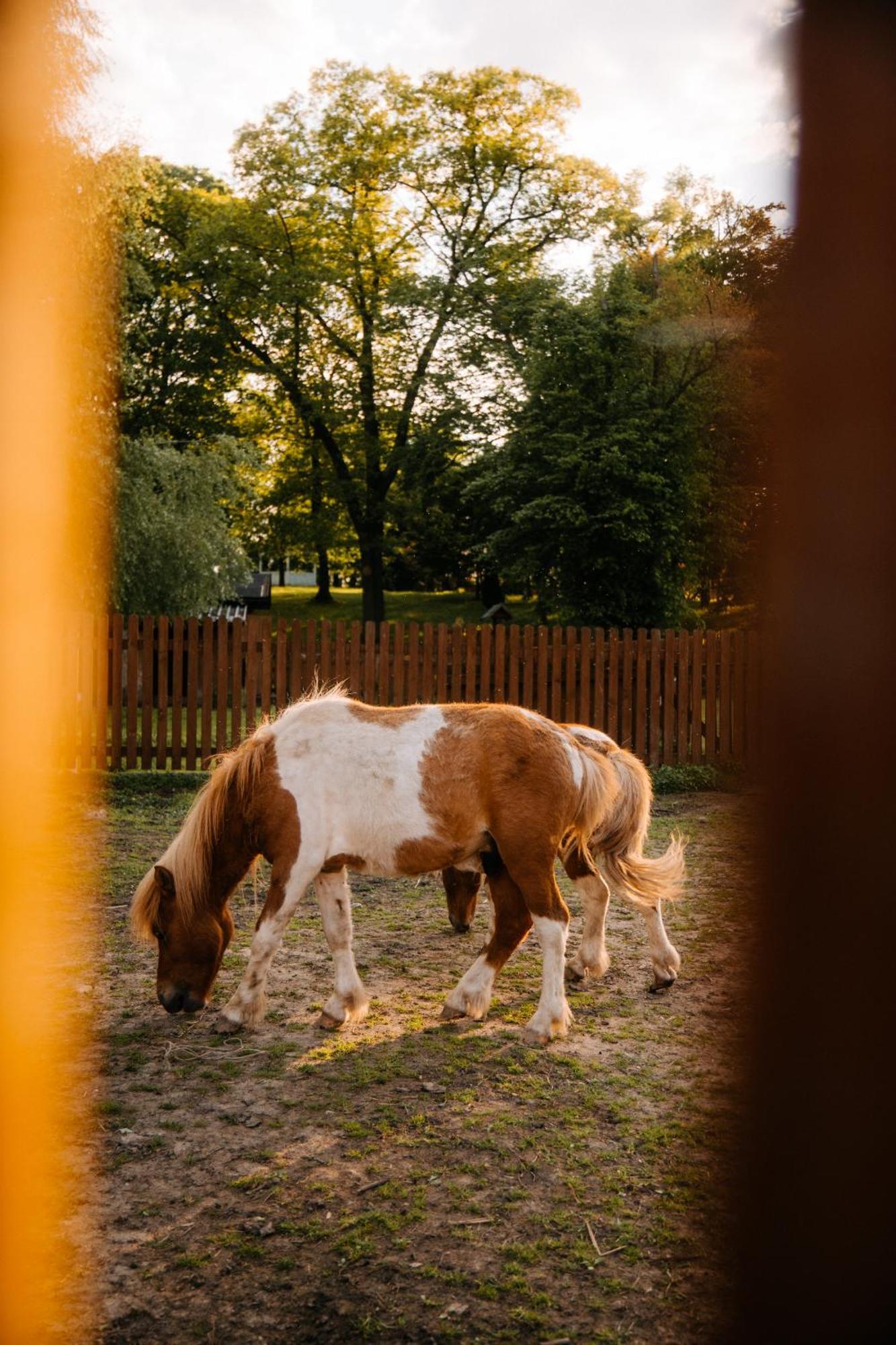 Palac Srodka Chrzypsko Wielkie Exterior foto