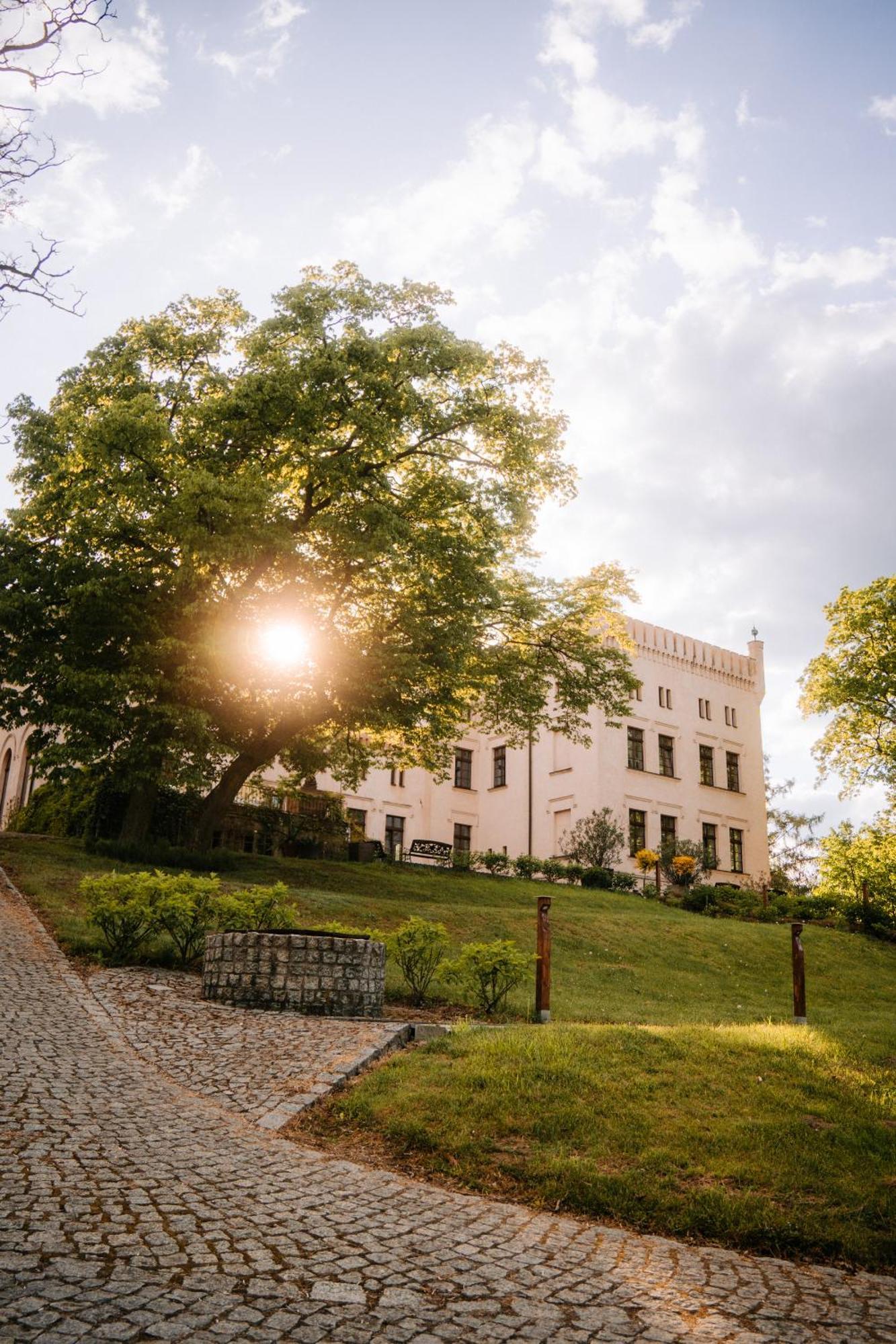 Palac Srodka Chrzypsko Wielkie Exterior foto