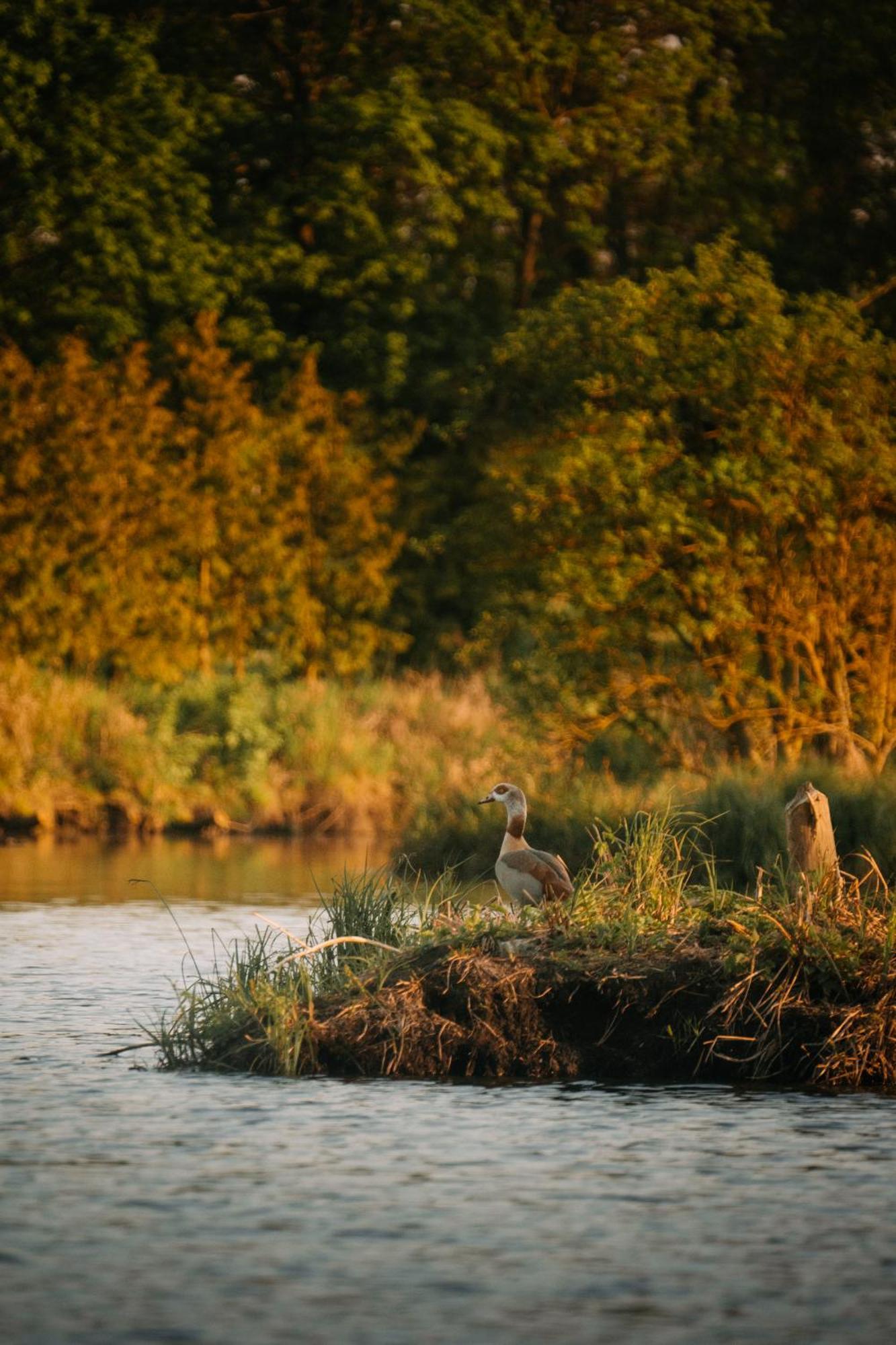 Palac Srodka Chrzypsko Wielkie Exterior foto