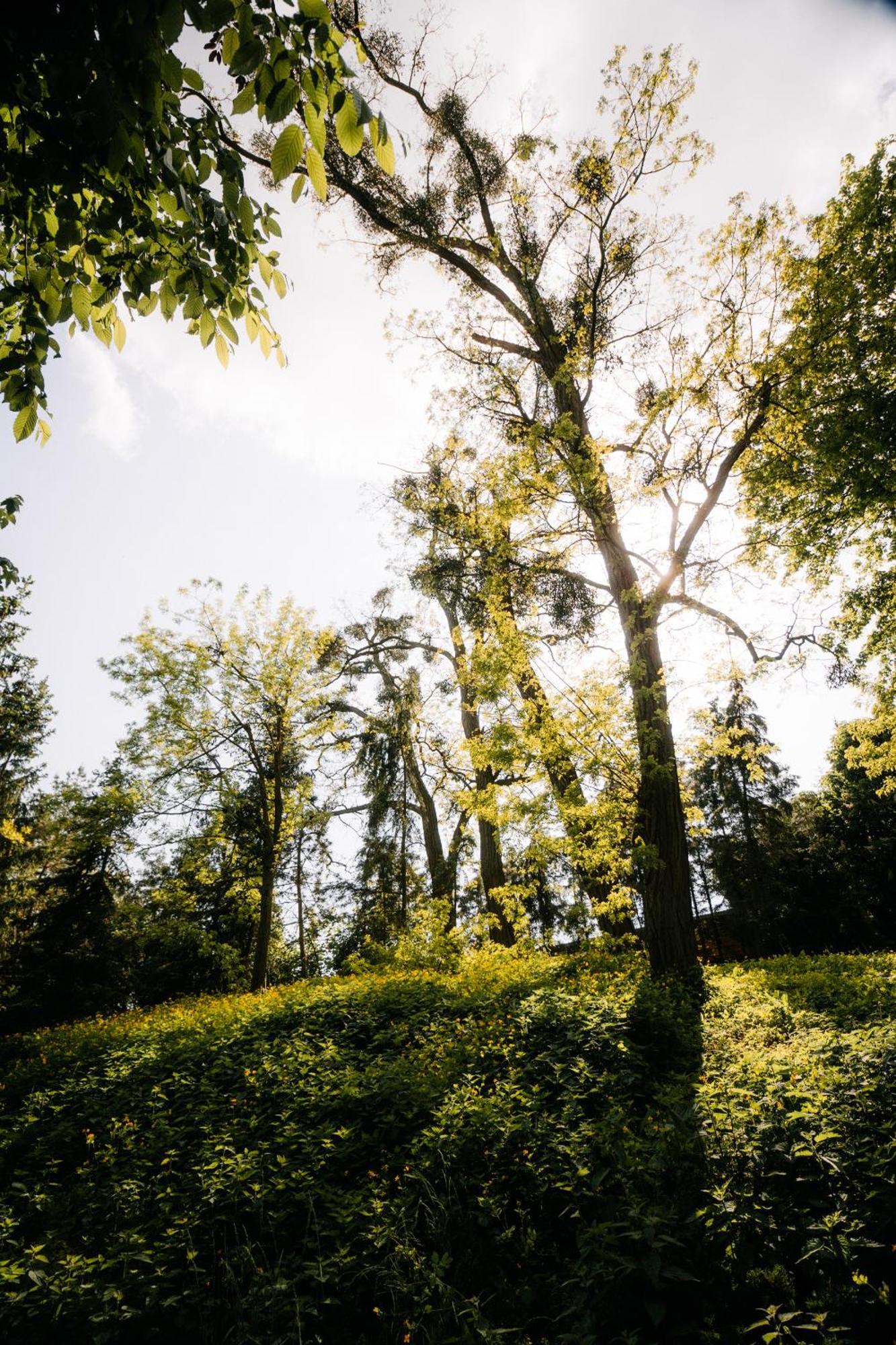 Palac Srodka Chrzypsko Wielkie Exterior foto